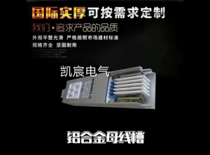鋁合金母線(xiàn)槽